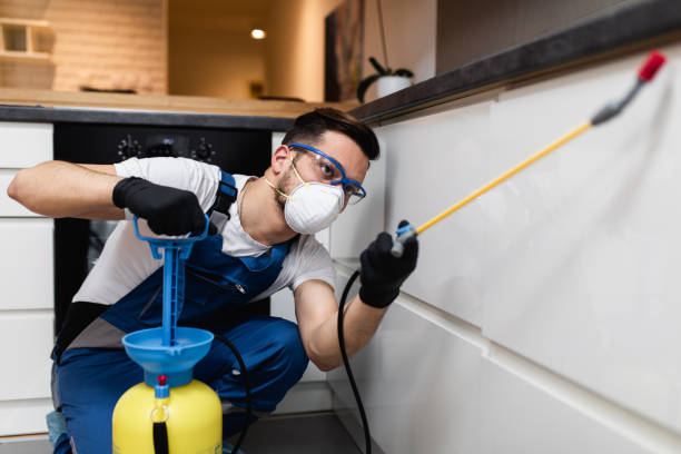 Best Termite Control Services  in Burlington, WA