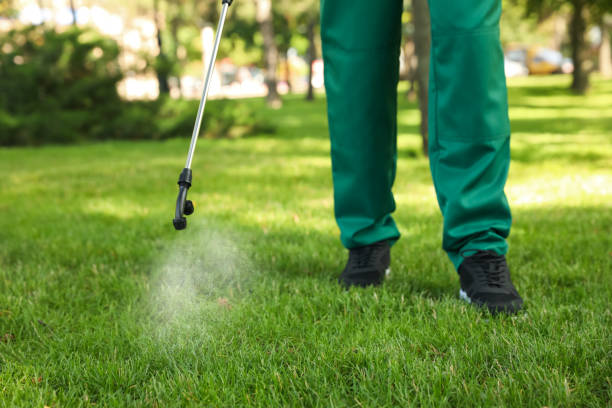 Best Flea Control Services  in Burlington, WA