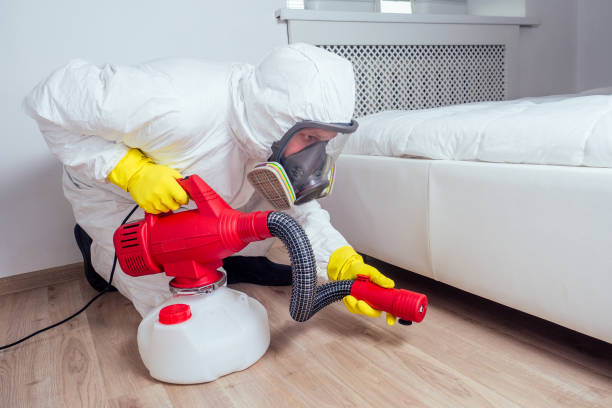 Best Flea Control Services  in Burlington, WA
