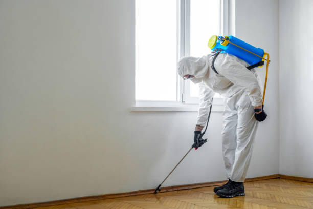 Best Affordable Pest Control Services  in Burlington, WA