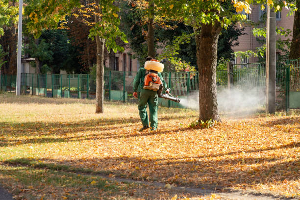 Best Residential Pest Control  in Burlington, WA